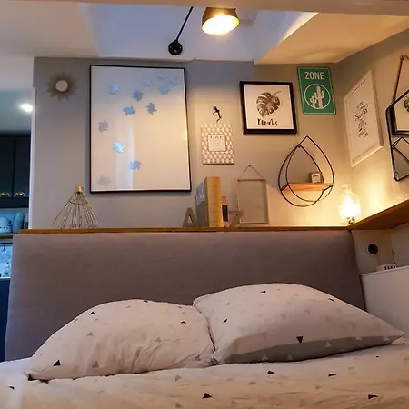 Lovely Studio 1bdr City Center Studio La Tete Dans Les Etoiles Apartment *